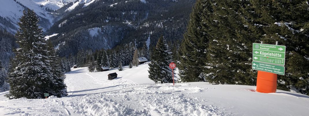 Slope from Rastkopf to Rinnen.