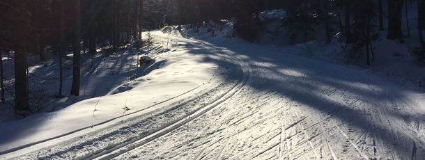 Information on Cross-Country Skiing at Cross Country Center Grainet - Obergrainet - Haidel