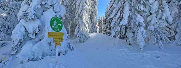There are designated winter hiking trails.