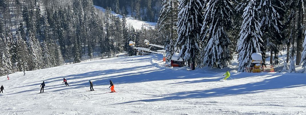The red Zwieselberg FIS run has a black section.