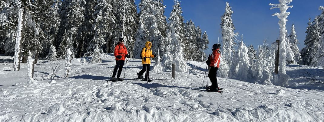 The Hochficht area is also popular with snowshoe hikers.
