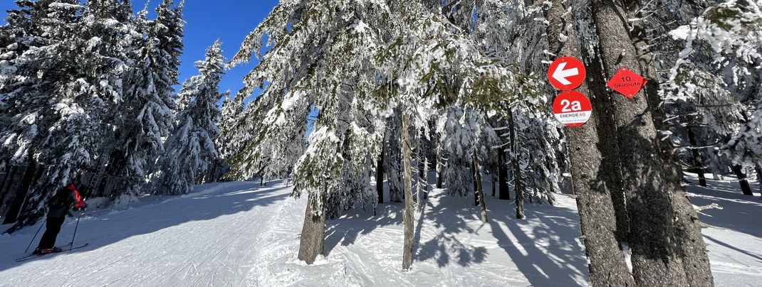 You can get to ski route 10 from Hochficht via Schönbergabfahrt 2a.