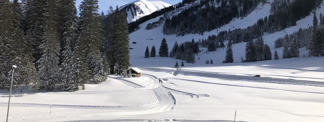 Auch die Loipen sind perfekt gespurt.