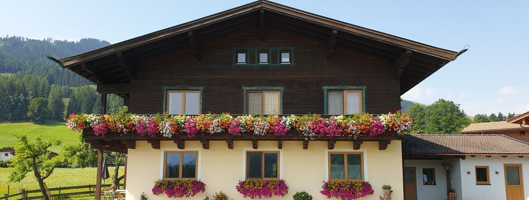 General information about your stay at Fewo Herbst