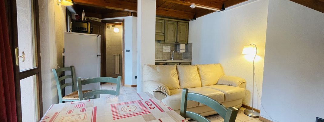 Attic one-bedroom apartment