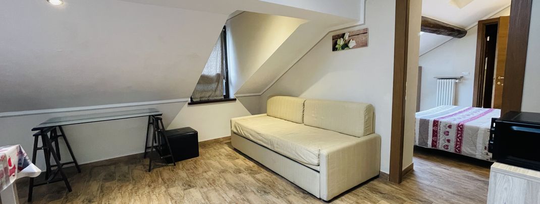 Attic one-bedroom apartment