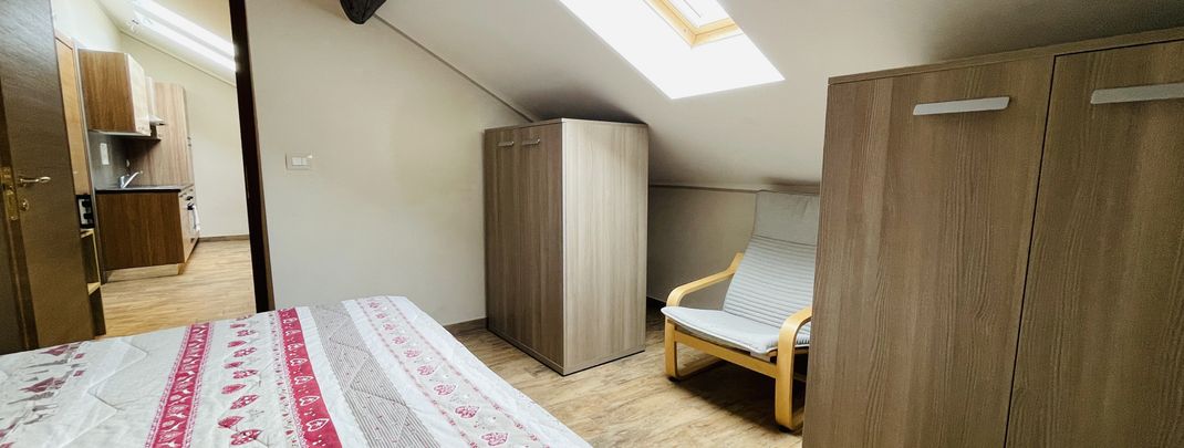Attic One-bedroom apartment