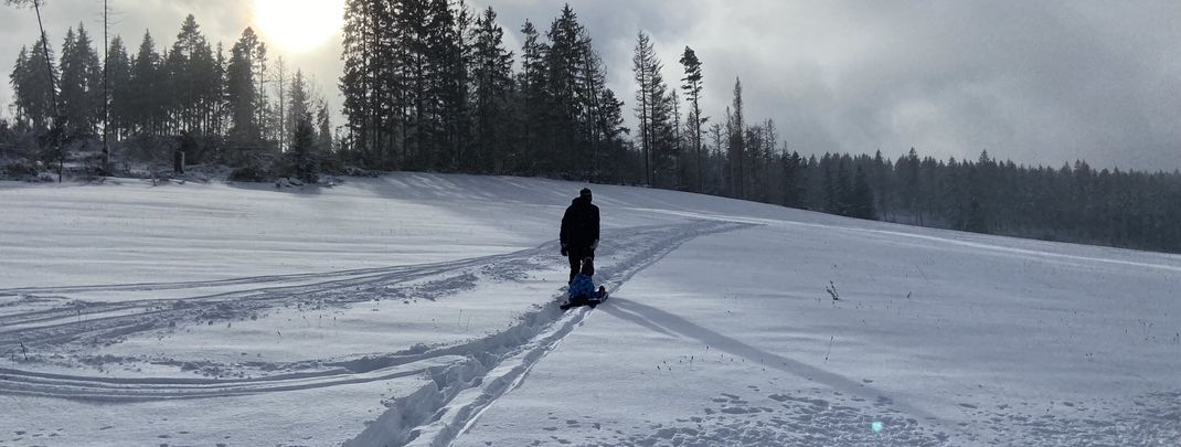Rodelhang am Rüttwaldhof