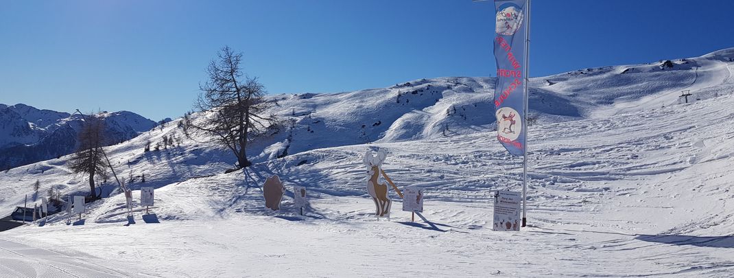 On the family slope kids can discover the animals of the winter forest.