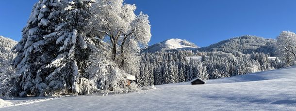 Detaillierte Infos zur Unterkunft Ferienwohnungen Am Hof