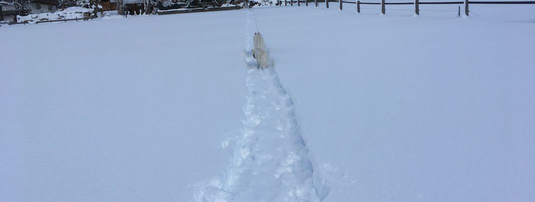 General information about your stay at Haus Rosemarie