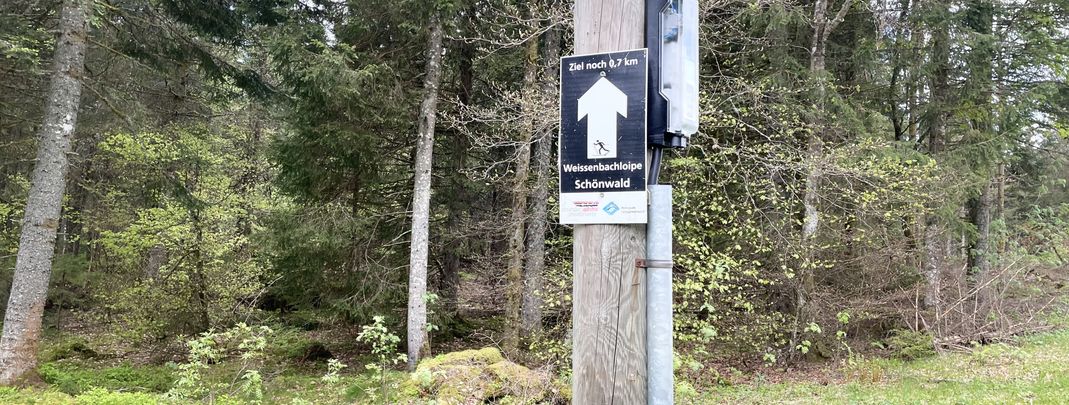 General information about your stay at Rüttwaldhof