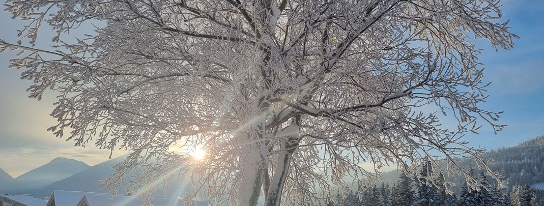 Detaillierte Infos zur Unterkunft Landhaus Wildschütz