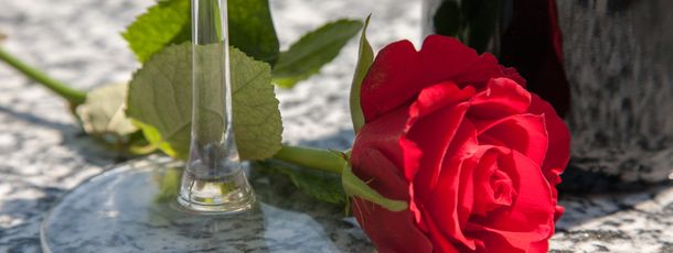 General information about your stay at Fewo Haus Esper