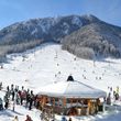 Information about the ski resort Kranjska Gora