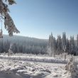 Die herrliche Winterlandschaft lädt nach dem Skifahren zum Spaziergang ein