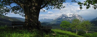 Detaillierte Infos zur Unterkunft Bio- Bauernhof Vorderbärnau