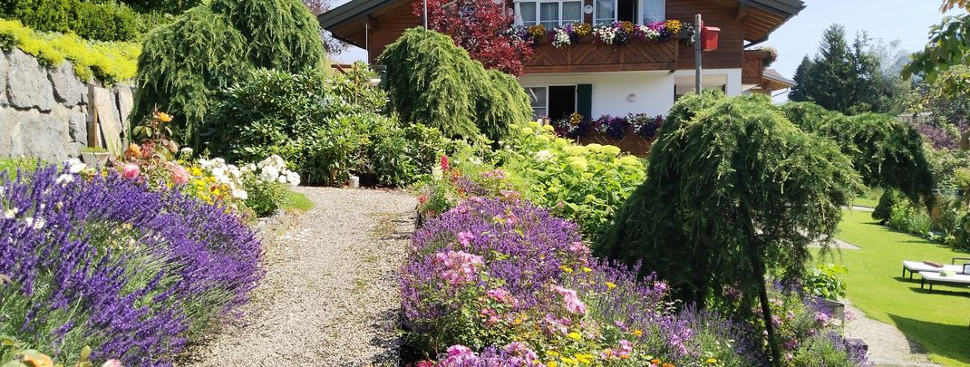 General information about your stay at Gästehaus Büchele