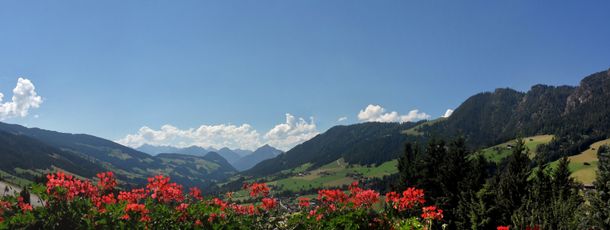 General information about your stay at Bergwald - Pension mit Zimmer & Appartements