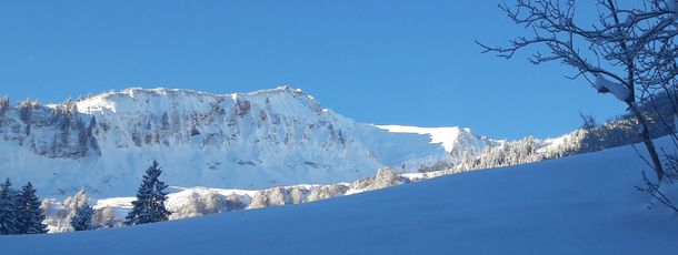 General information about your stay at Hotel Alpengasthof Schwand