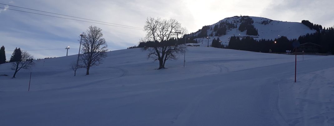 General information about your stay at Hotel Gänsleit