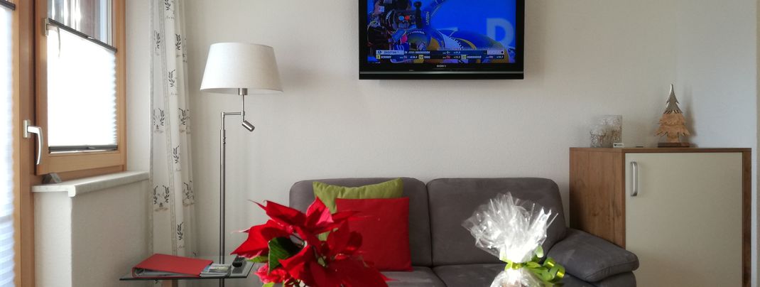 Das gemütliche Sofa