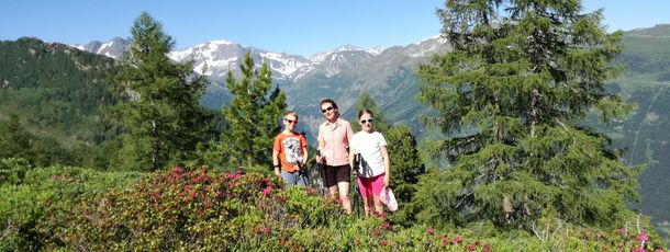 General information about your stay at Gästehaus Schernthaner