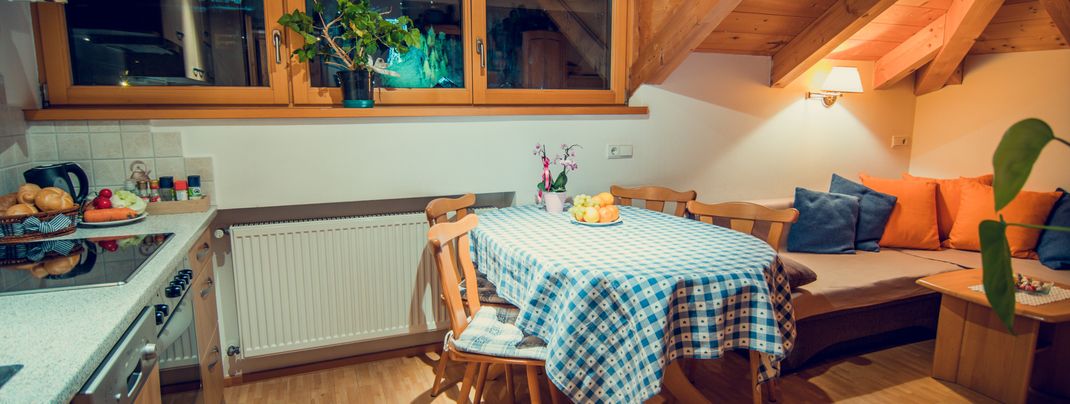 General information about your stay at Fewo Tlusel