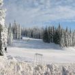 Information about the ski resort Mount Pakenham