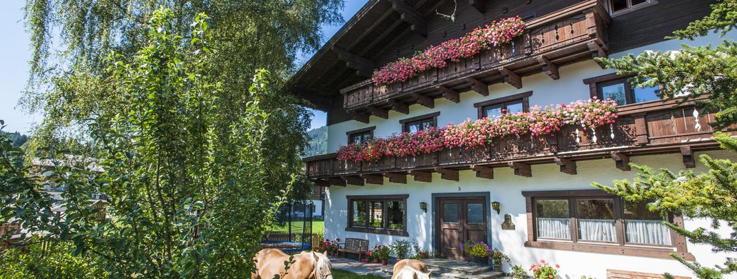 Detaillierte Infos zur Unterkunft Ferienwohnungen Ranstl