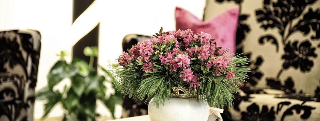 General information about your stay at Apart Tschuggmall