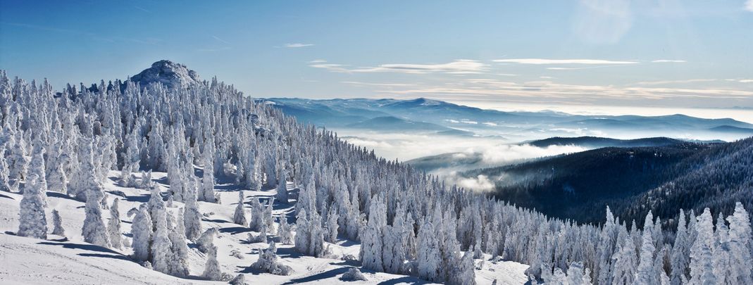 General information about your stay at Arberschutzhaus