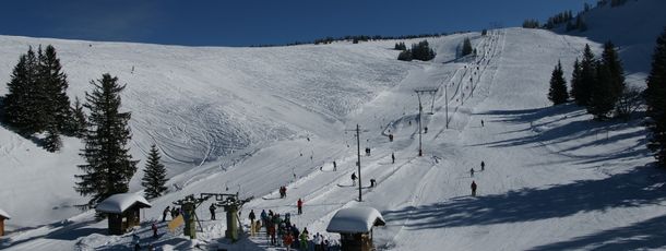 Information about the ski resort Niedere Bezau
