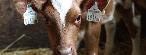 General information about your stay at Herzoghof