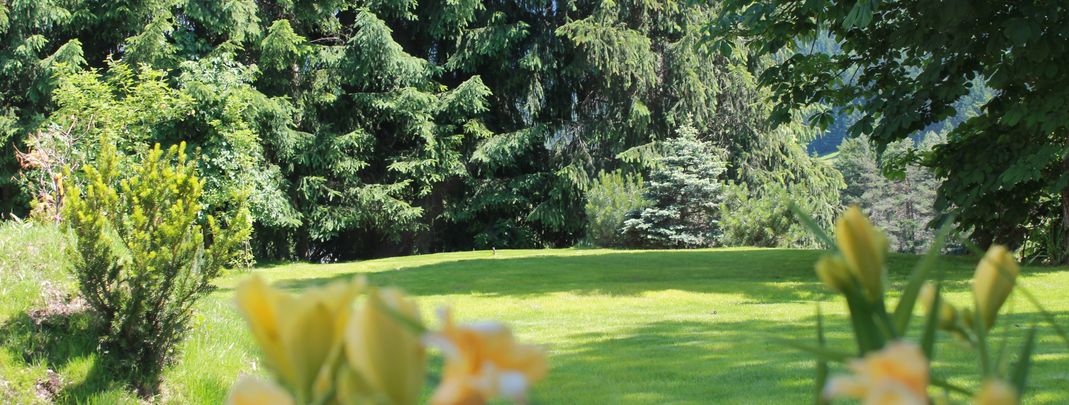 Detaillierte Infos zur Unterkunft Chalet Hotel Hartmann - Adults Only