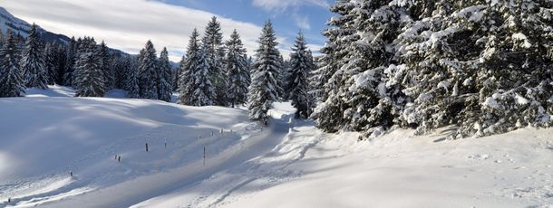 General information about your stay at Hotel-Pension Schwandenhof