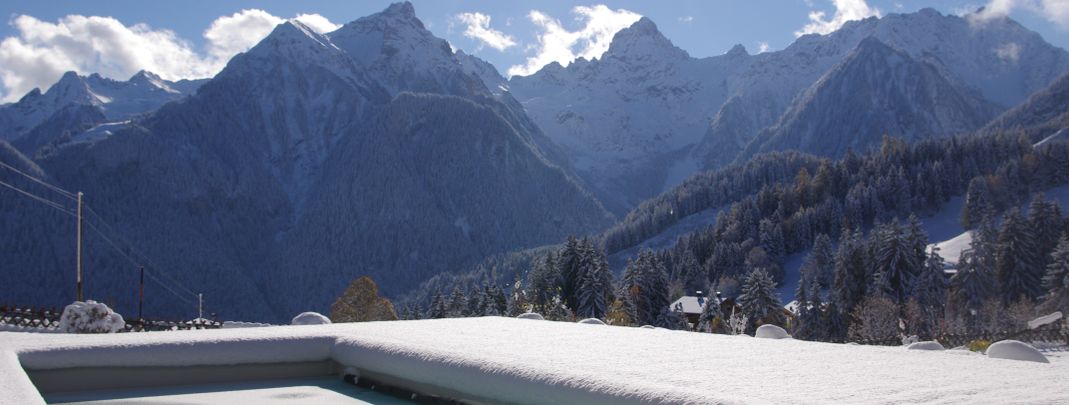 General information about your stay at Hotel Burtschahof