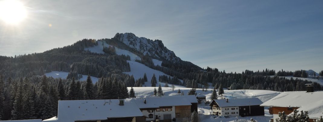 Detaillierte Infos zur Unterkunft Landhaus Wildschütz
