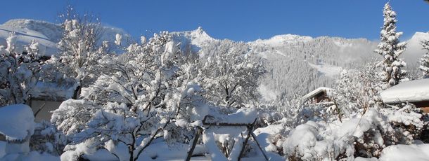 General information about your stay at Ferienwohnung Schreieck