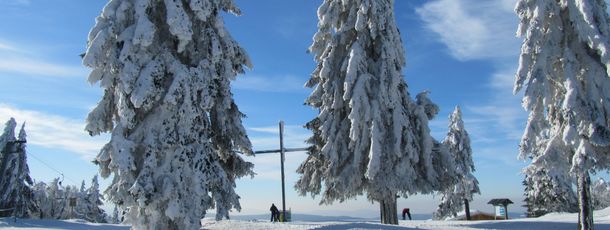 Information on Cross-Country Skiing at Mitterdorf