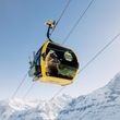 Information about the ski resort Grindelwald - Wengen