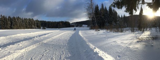Information on Cross-Country Skiing at Cross Country Center Mauth-Finsterau