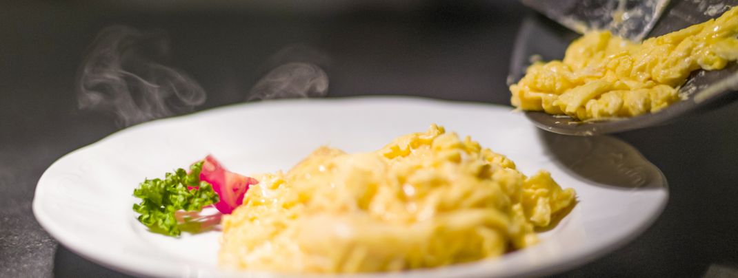 General information about your stay at Gasthof-Hotel Alpenhof