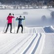 Information on Cross-Country Skiing at Hochfilzen