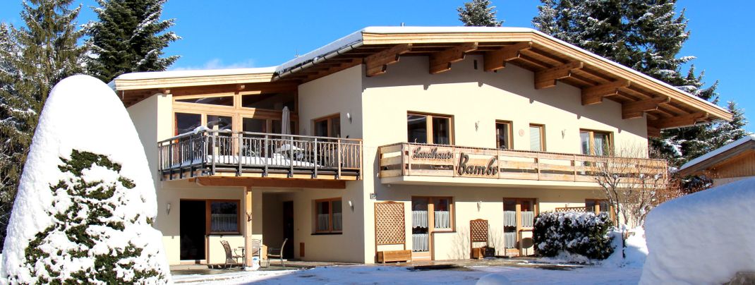 Appartementhaus Bambi - Winter