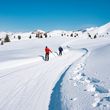 You will find many cross-country ski trails.