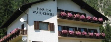 Detaillierte Infos zur Unterkunft Pension Waldkrieber