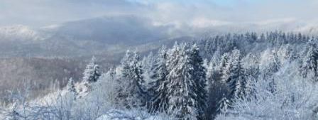 General information about your stay at Ferienhaus Dankesreiter