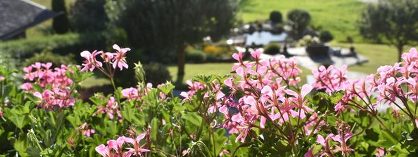 Detaillierte Infos zur Unterkunft Ferienwohnungen Sunnwies