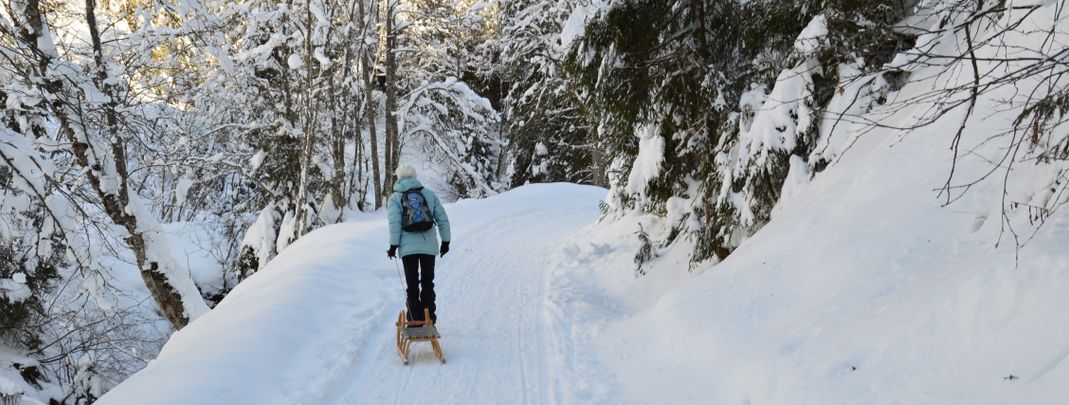 General information about your stay at Apartments Tramberger